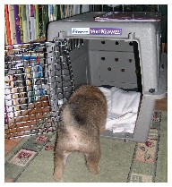 27.06.07