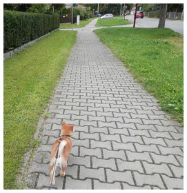 23.09.14