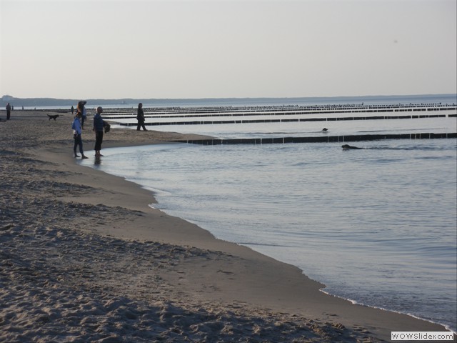 IMGP0736