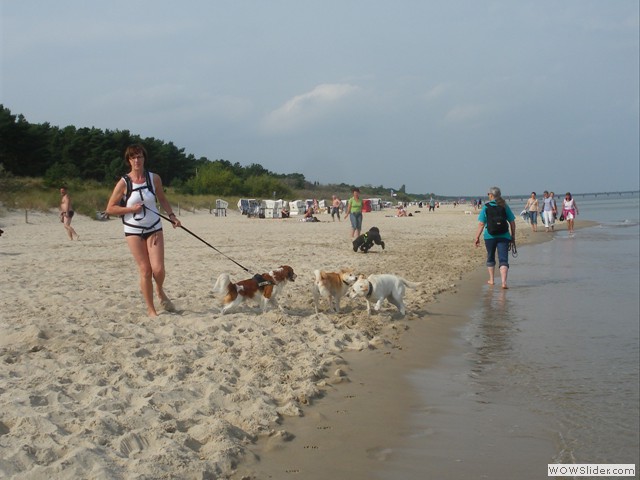 IMGP0862