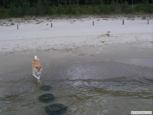 IMGP0876