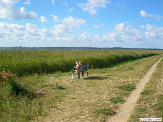 IMGP0935