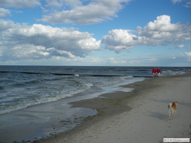 IMGP1050