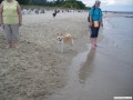 IMGP0800