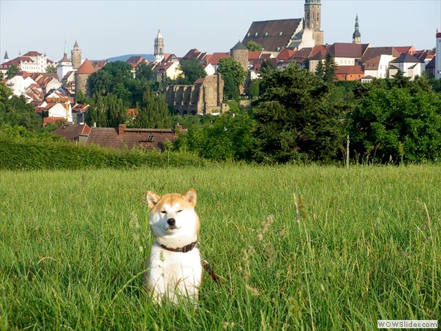 Bautzen