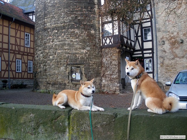 Burg Grofurra