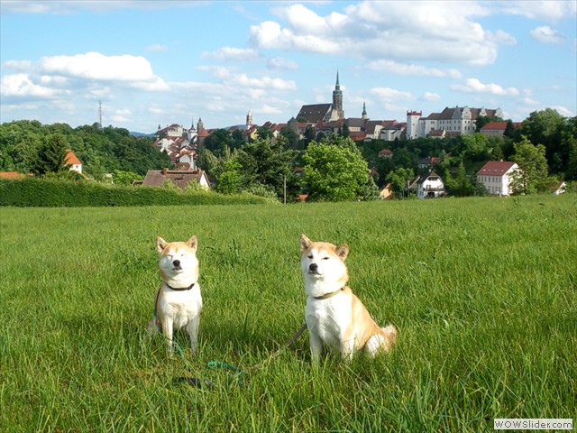 Bautzen