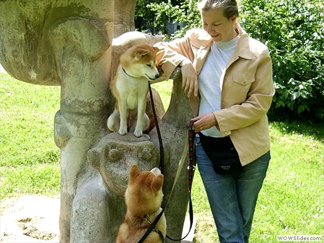 In Erfurt