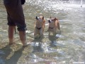 Erfrischung fr Shizen und Bummi