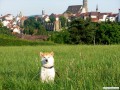 Bautzen