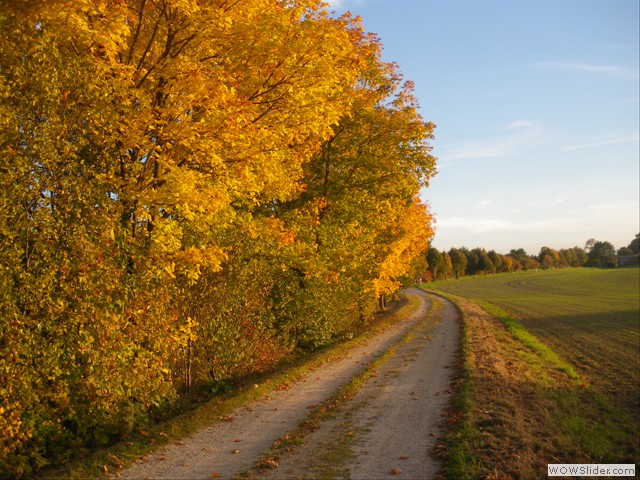 Die Abendsonne bringt die Farben zum Glhen