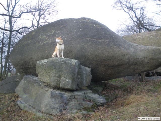 Shizen vor dem Elefantenrssel genannten Felsen