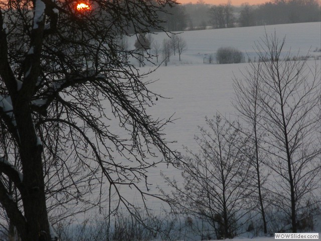 Blick aus dem Fenster
