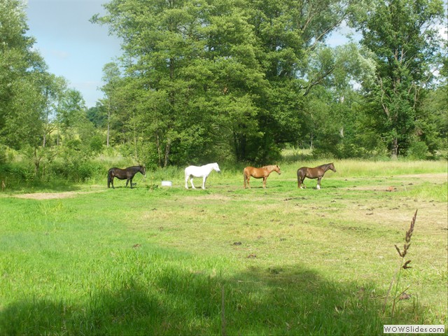 Anstehen...wofr?