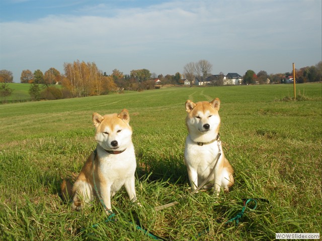 Links Shizen, rechts Bumiko