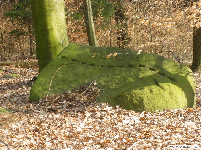 Viele merkwrdige steinerne Spuren gibts auf dem Klosterberg