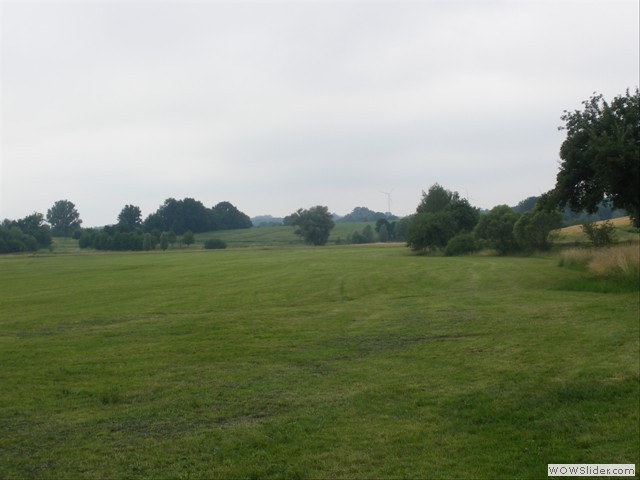 Grntne - unsere Wiese im Juni