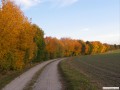 Goldener Oktober hinter Muschelwitz