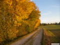 Die Abendsonne bringt die Farben zum Glhen