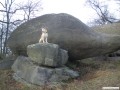 Shizen vor dem Elefantenrssel genannten Felsen