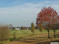 Die Mhle im Herbst