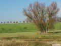 Am Horizont Strae nach Kamenz