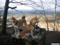 Shizen und Bummi auf dem Klosterberg