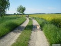 Unterwegs im Frhling