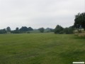 Grntne - unsere Wiese im Juni