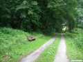 Bank am Weg nach Zischkowitz
