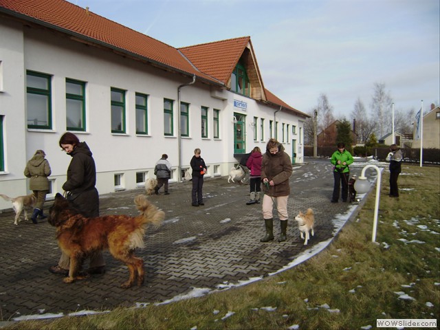 Gruppentraining mit Shizen Winter 2012