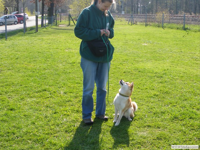 Mit Bummi bei der Familienhundeprfung als Vorbereitung auf die BH