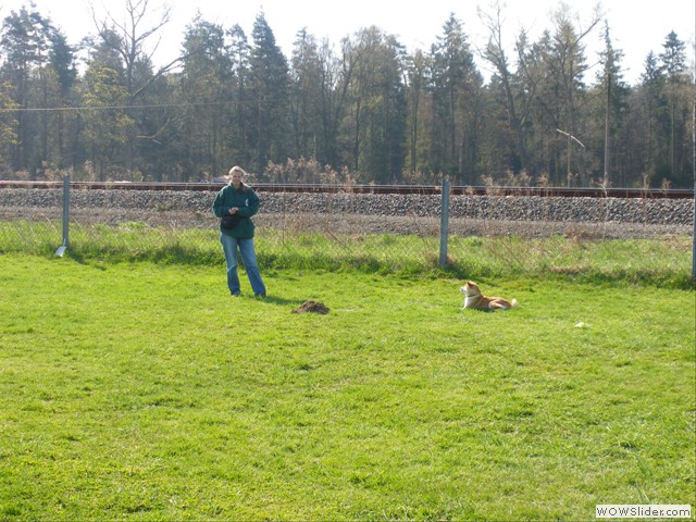 Abliegen