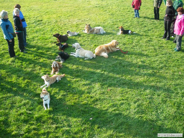 Unsere Hunde knnen auch schreiben ;o)