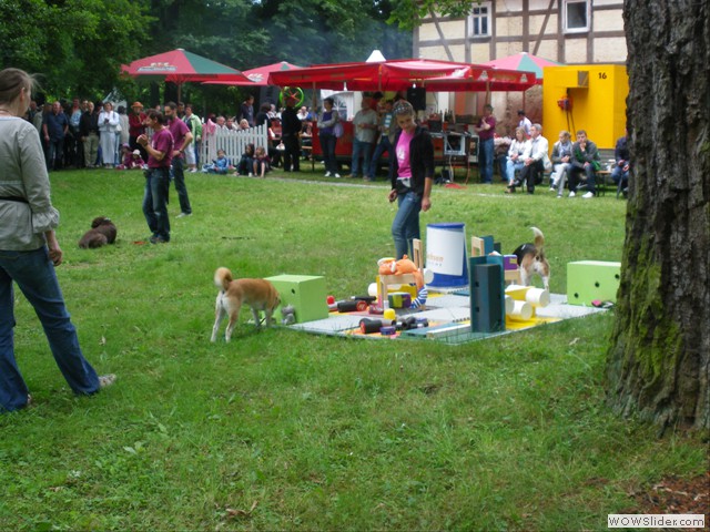 ZOS: Shizen und Merle suchen gleichzeitig in einem Trmmerfeld