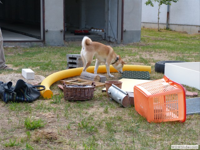 intensive Nasenarbeit....