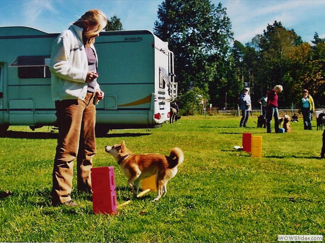 Dogdance-Seminar 2007