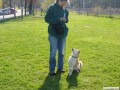 Mit Bummi bei der Familienhundeprfung als Vorbereitung auf die BH