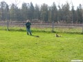 Abliegen