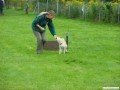 Sprungtraining mit Bummi