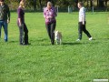Durch die Gruppe...
