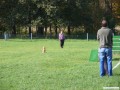 Sitz aus der Bewegung