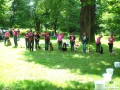 Unsere Familienhundgruppe