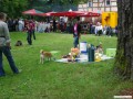 ZOS: Shizen und Merle suchen gleichzeitig in einem Trmmerfeld