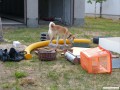 intensive Nasenarbeit....