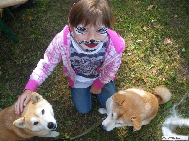 Diese Miezekatze mag Shibas